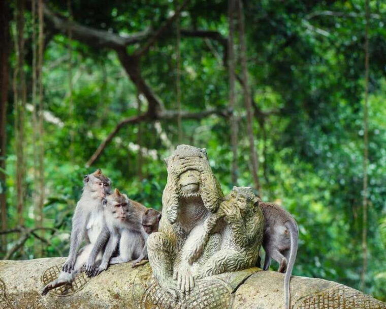 ubud-private-sighseeing-ubud-area-culture-with-transfer