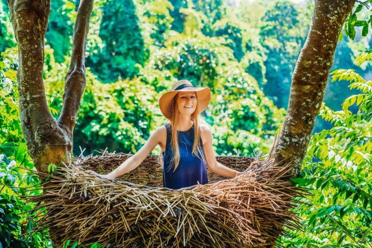 ubud-spectacular-waterfalls-tour