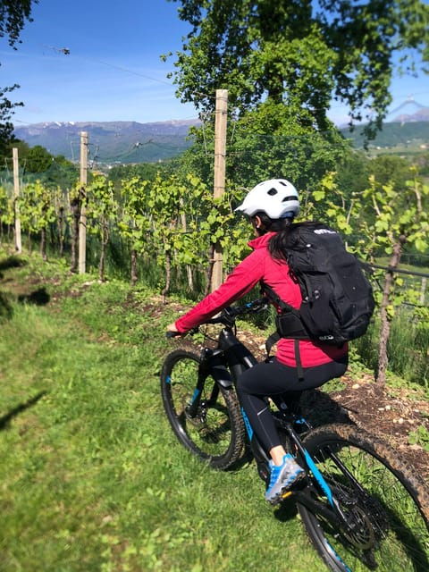 Valdobbiadene: Bike Rental and Prosecco Tasting - Tour Details