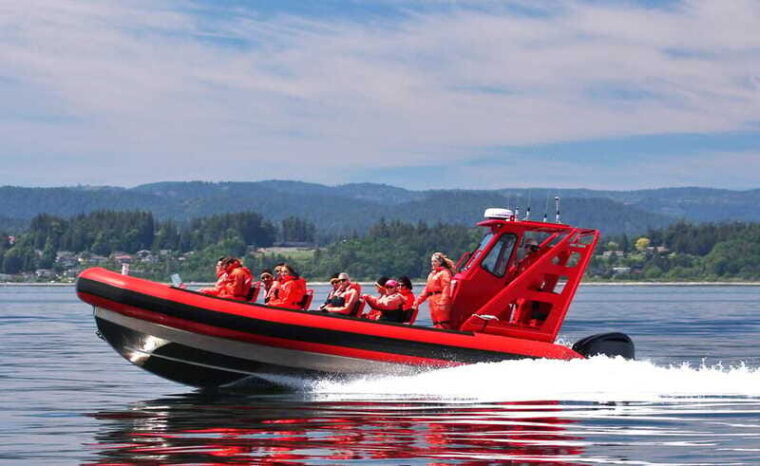 vancouver-bc-whale-watching-tour-small-zodiac-with-guide