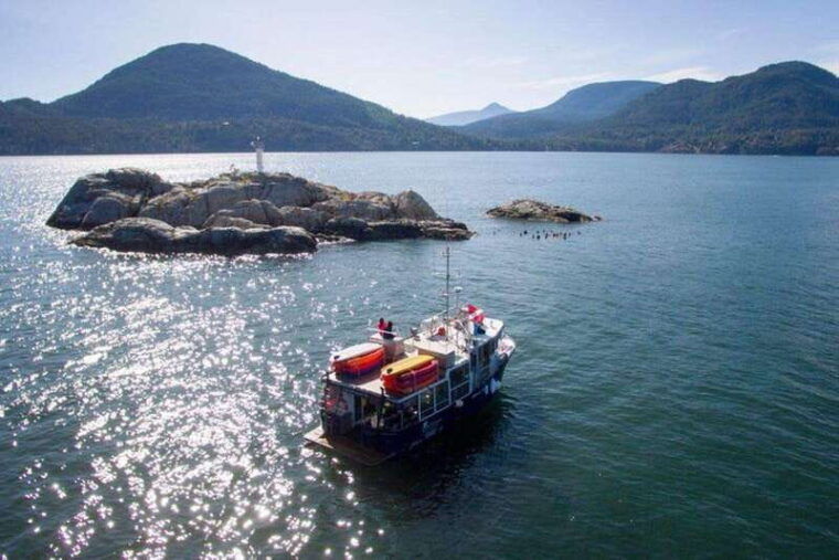 vancouver-boat-dive-for-certified-diver-tank-weight-incl