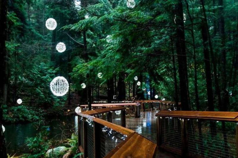 vancouver-capilano-canyon-lightpeak-of-christmas-in-grouse