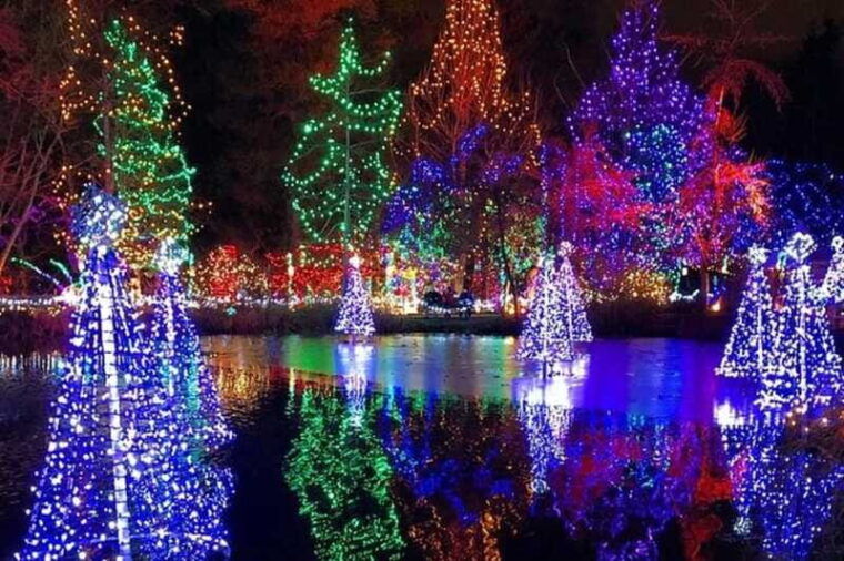 vancouver-christmas-light-tour-private
