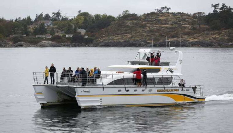 victoria-guided-whale-and-wildlife-watching-cruise