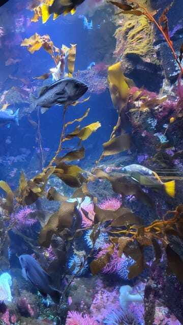 victoria-penninsula-adventure-hiking-aquarium-and-views
