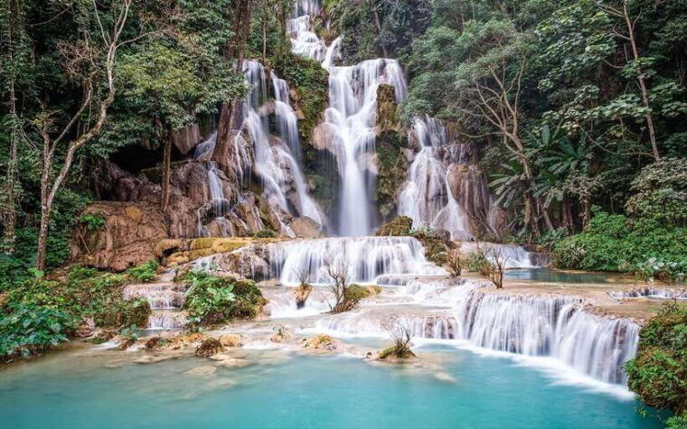 visit-buffalo-farm-cooking-class-forest-kuang-si-waterfall