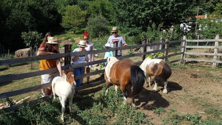volos-cook-like-a-local-at-a-greek-farm
