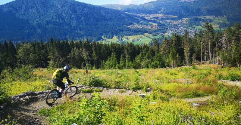 voss-mountain-bike-bomoem-forest