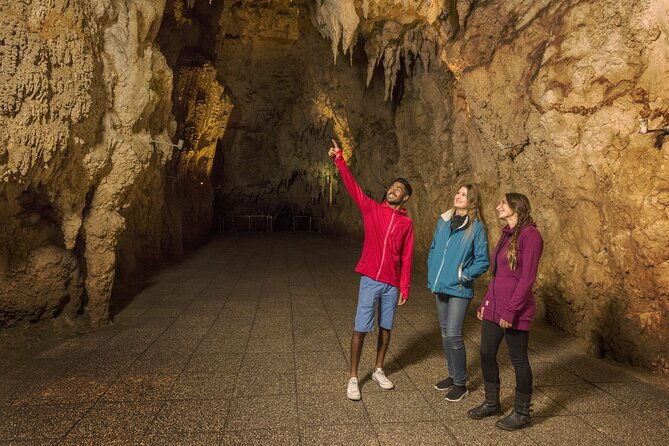 Waitomo Glowworm Cave Experience - Small Group Tour from Auckland - FAQ