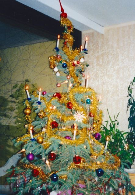 walking-on-the-historical-trail-of-viennese-christmas-trees