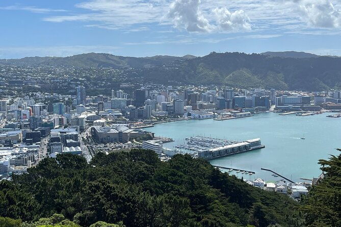 Wellington City and Sea: Private Tour in Electric Tesla SUV - Final Thoughts