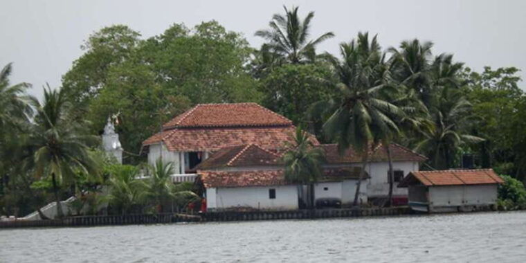 west-coast-beach-river-mangroves-lagoon-wildlife-boat-tour
