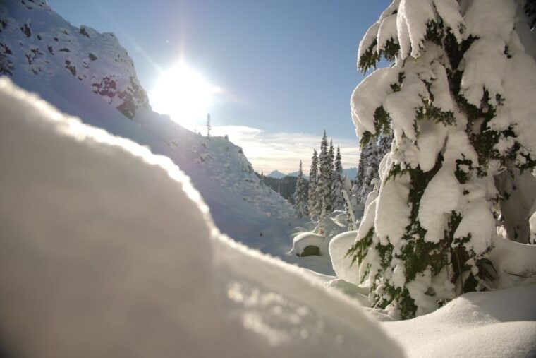 whistler-backcountry-snowshoeing-tour-with-guide