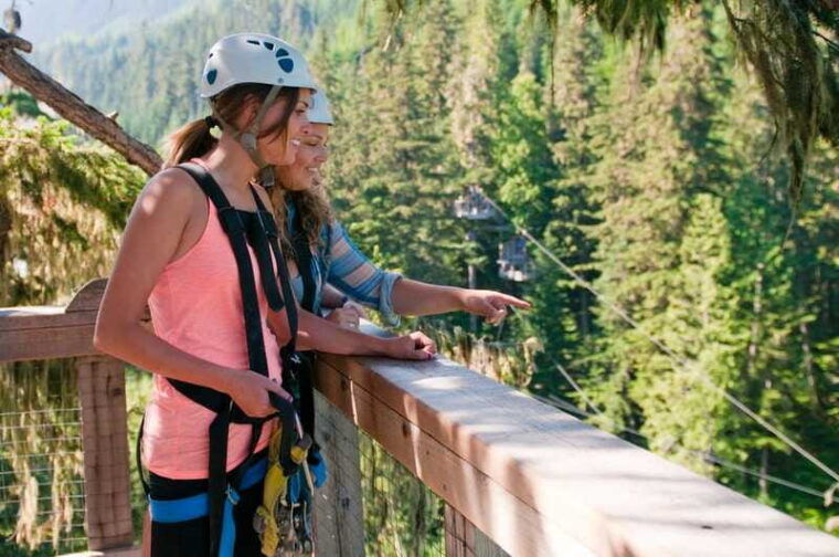 whistler-zipline-experience-ziptrek-bear-tour
