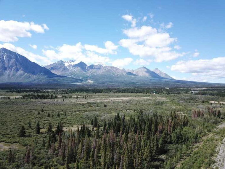 whitehorse-kluane-national-park-haines-junction-day-trip