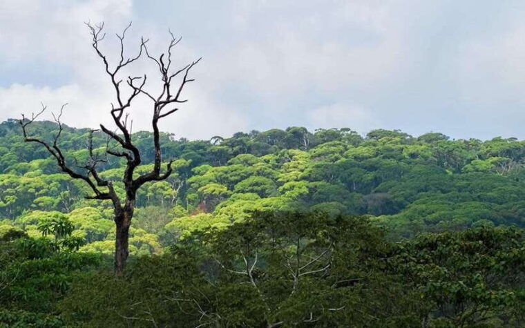 wildlife-sri-lanka-10-day-all-inclusive-tour