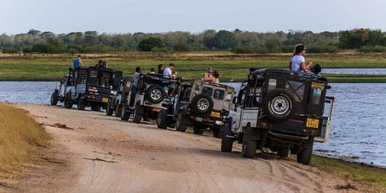 wilpattu-national-park-safari-tour-from-colombo