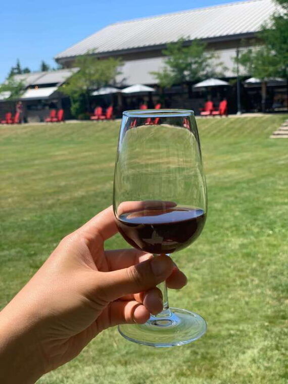 wine-cheese-afternoon-wine-tours-in-notl