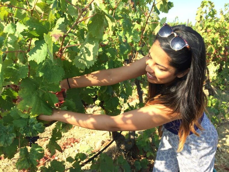 wine-experience-around-cagliari