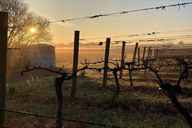 Wine Tasting and a house-made Bellarine Estate Charcuterie platter - FAQ