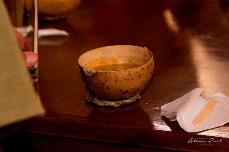 xkopek-mayan-bees-tour-and-honey-tasting-in-valladolid