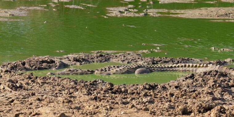 yala-national-park-wildlife-safari-from-hambantota