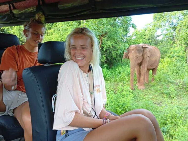 yala-udawalawe-safari-elephant-home-lifetime-experience