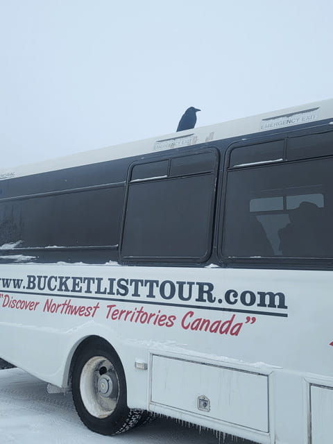 yellowknife-bison-highway-road-tour