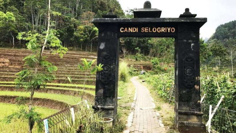 yogyakarta-selogriyo-temple-and-rice-terrace-soft-trekking