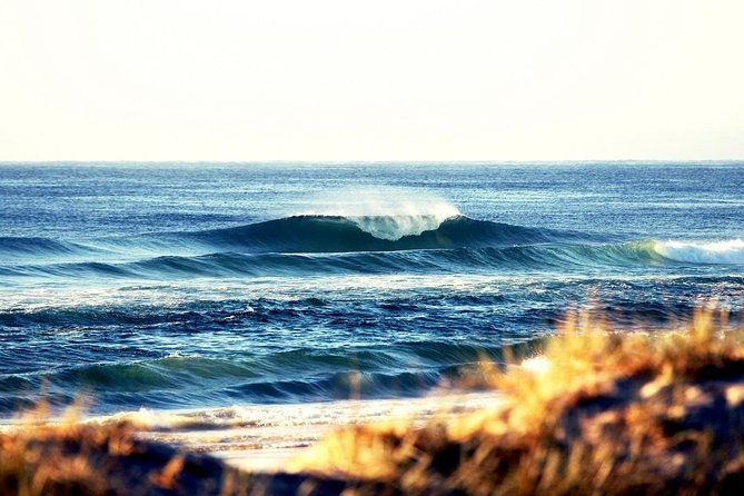 7-Day Byron Bay, Evans Head and Moonee Beach Surf Safari from Brisbane, Gold Coast or Byron Bay - Key Points