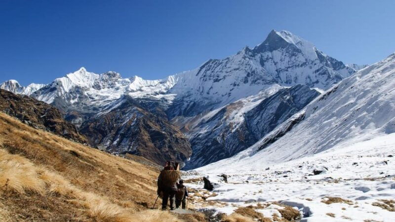 7-days-budget-backpackers-group-abc-trek-from-pokhara