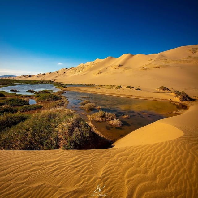 12-day-great-gobi-and-central-mongolia-full-adventure