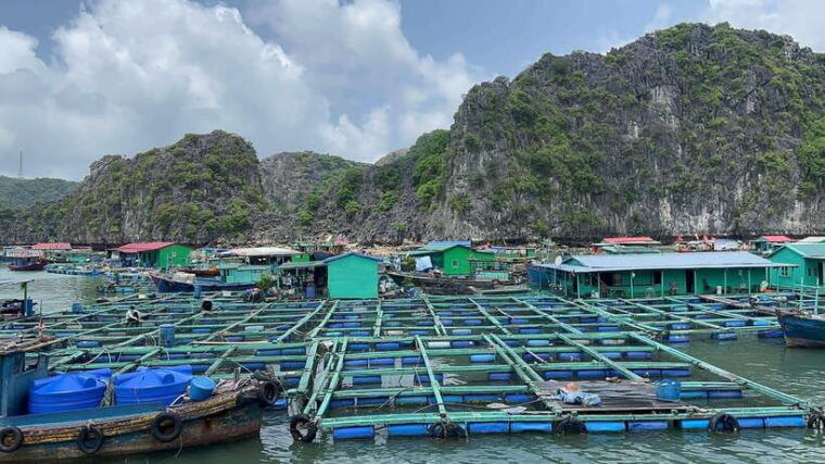 2-day-lan-ha-and-cat-ba-cruise-tour-by-3-star-cruise-ship