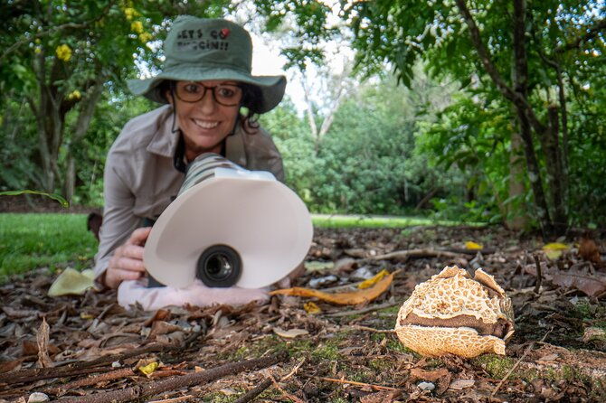 2-Hour Mushroom Photography Activity in Cairns Botanic Gardens - Authentic Insights from Reviewers  