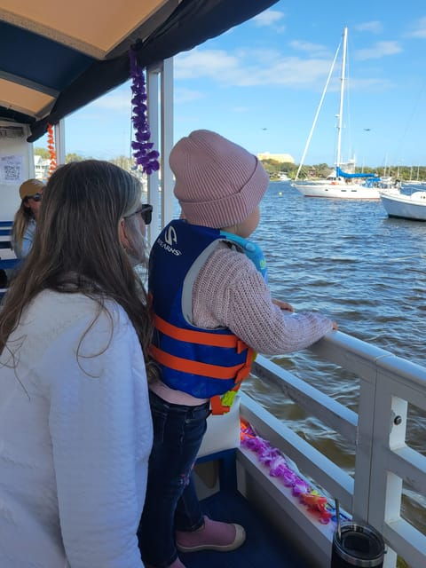 2-hour-tiki-dolphin-sightseeing-tour-in-cocoa-beach