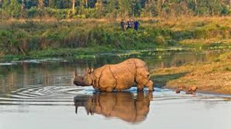 2-n-3-days-chitwan-tour-package-from-pokhara-or-kathmandu