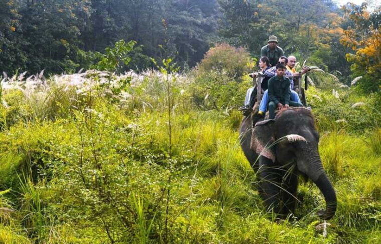 2-nights-3-days-chitwan-jungle-safari-tour