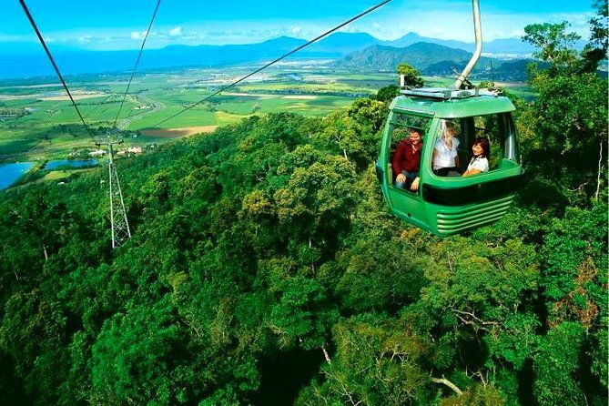 3-Day Best of Cairns Combo: The Daintree Rainforest, Great Barrier Reef, and Kuranda - Seamless Logistics