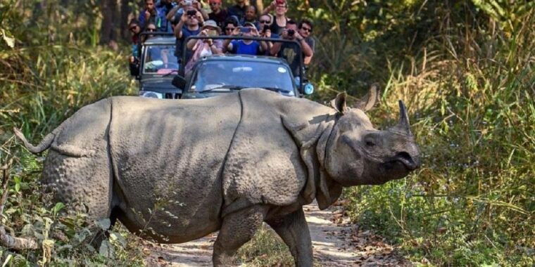 3-day-chitwan-jungle-safari-adventure-from-kathmandu-pokhara