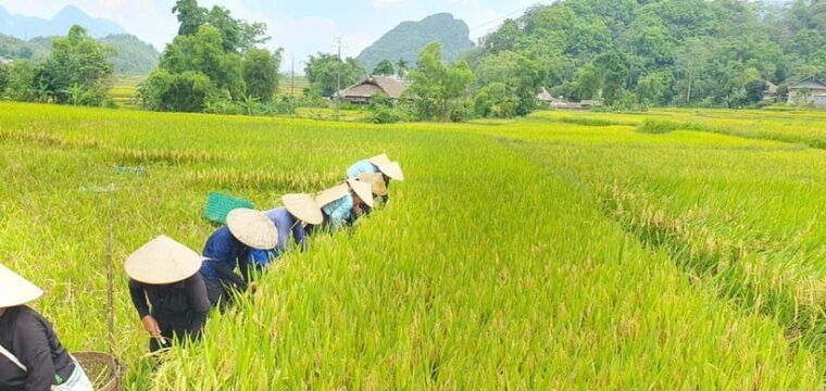 3-day-discover-wonders-of-hagiang-loop-on-motorbike