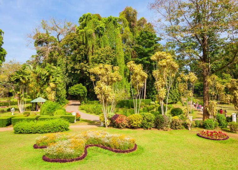 3-day-private-tour-sigiriya-dambulla-ella-with-train-tour
