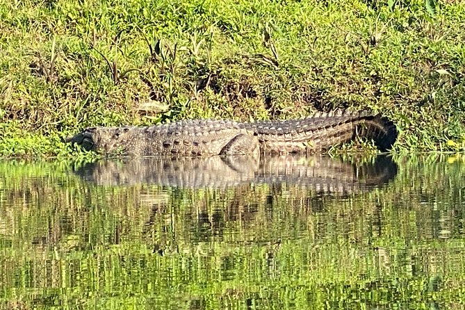 3 Nights 4 Days Comfortable Chitwan Safari Tour - Final Thoughts