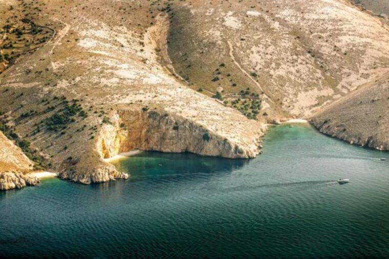35h-wild-bays-swim-snorkel-with-capt-bobo-public