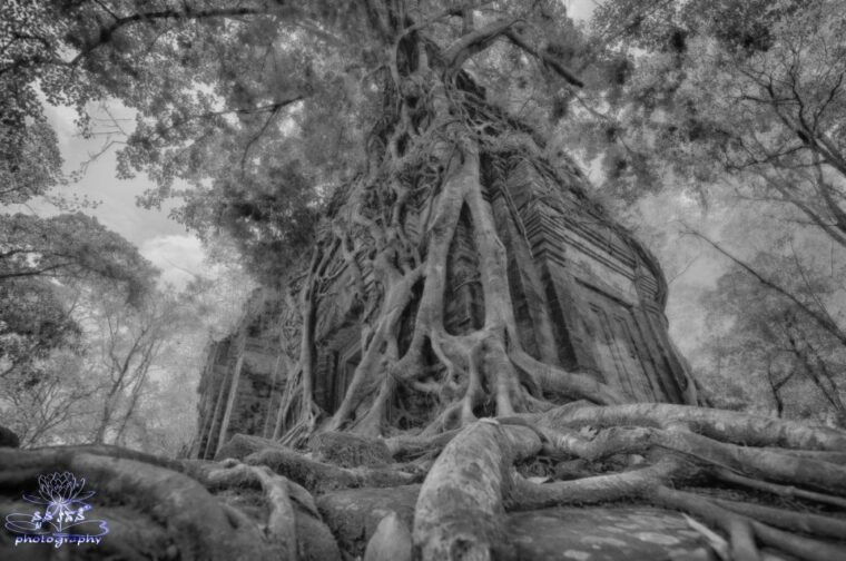 4-day-angkor-wat-kulen-mount-koh-ker-group-beng-mealea