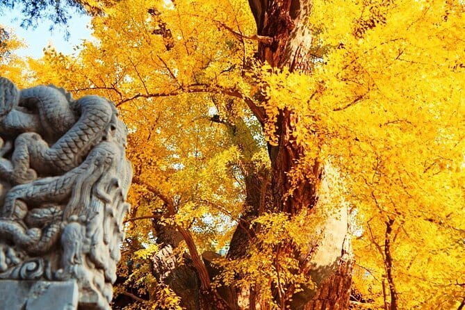 4-Days All Inclusive Beijing Private Tour Package with Airport Transfer Option - Final Thoughts: Who Will Love This Tour?