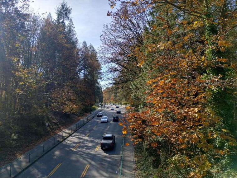 4tourcapilano-suspension-br-car-small-grouplakedamhacher