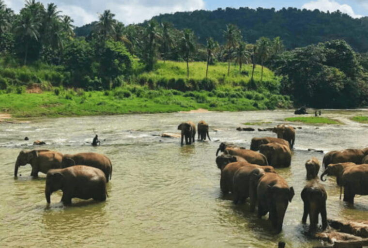 5-day-flash-tour-of-sri-lanka-cover-5-land-marks