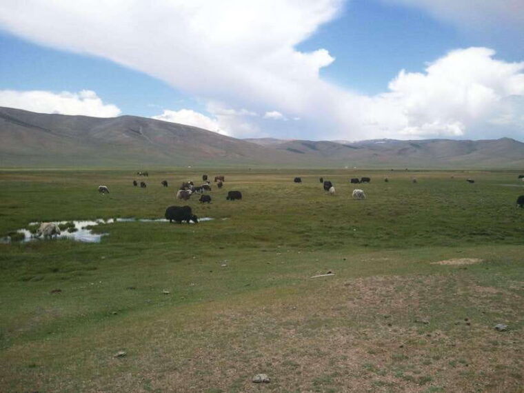 8-day-gobi-and-central-mongolia