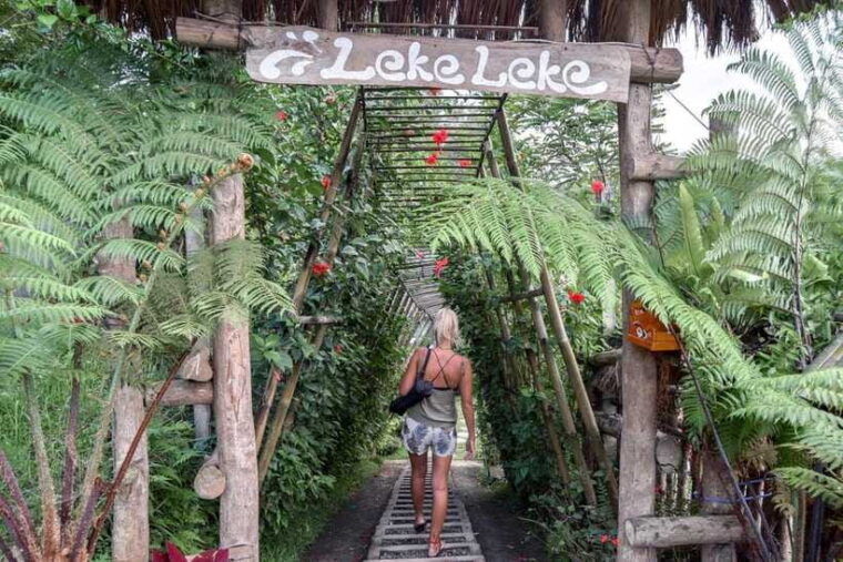 a-private-day-tour-to-explore-north-part-of-bali