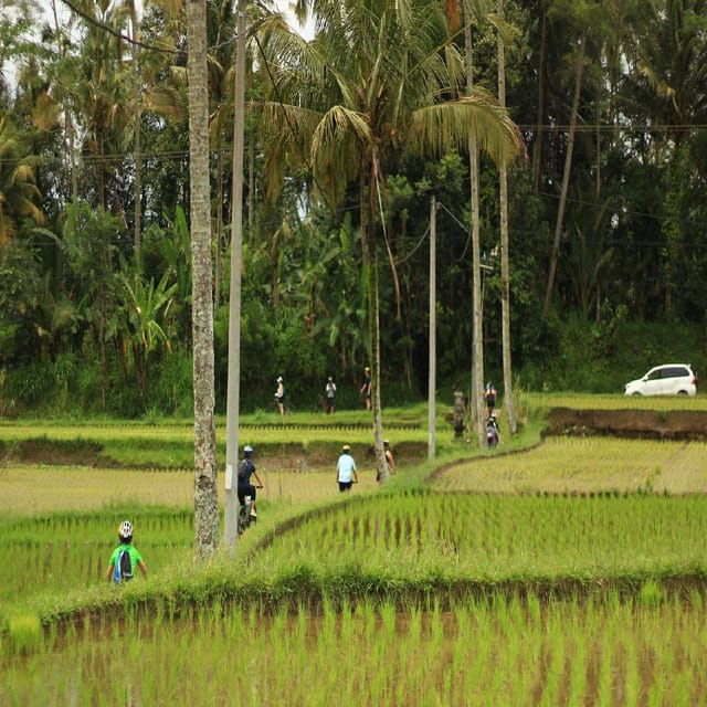 afternoon-downhill-cycling-tour-through-jungle-and-meal
